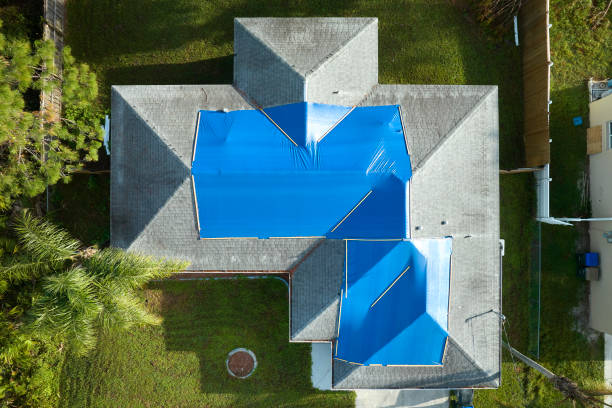 Best Asphalt Shingle Roofing  in Homerville, GA