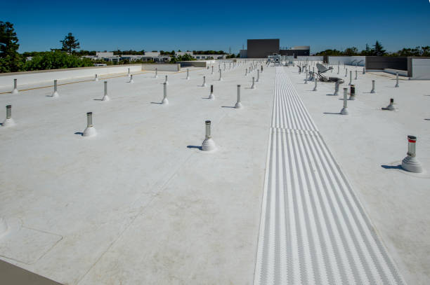 Best Storm Damage Roof Repair  in Homerville, GA